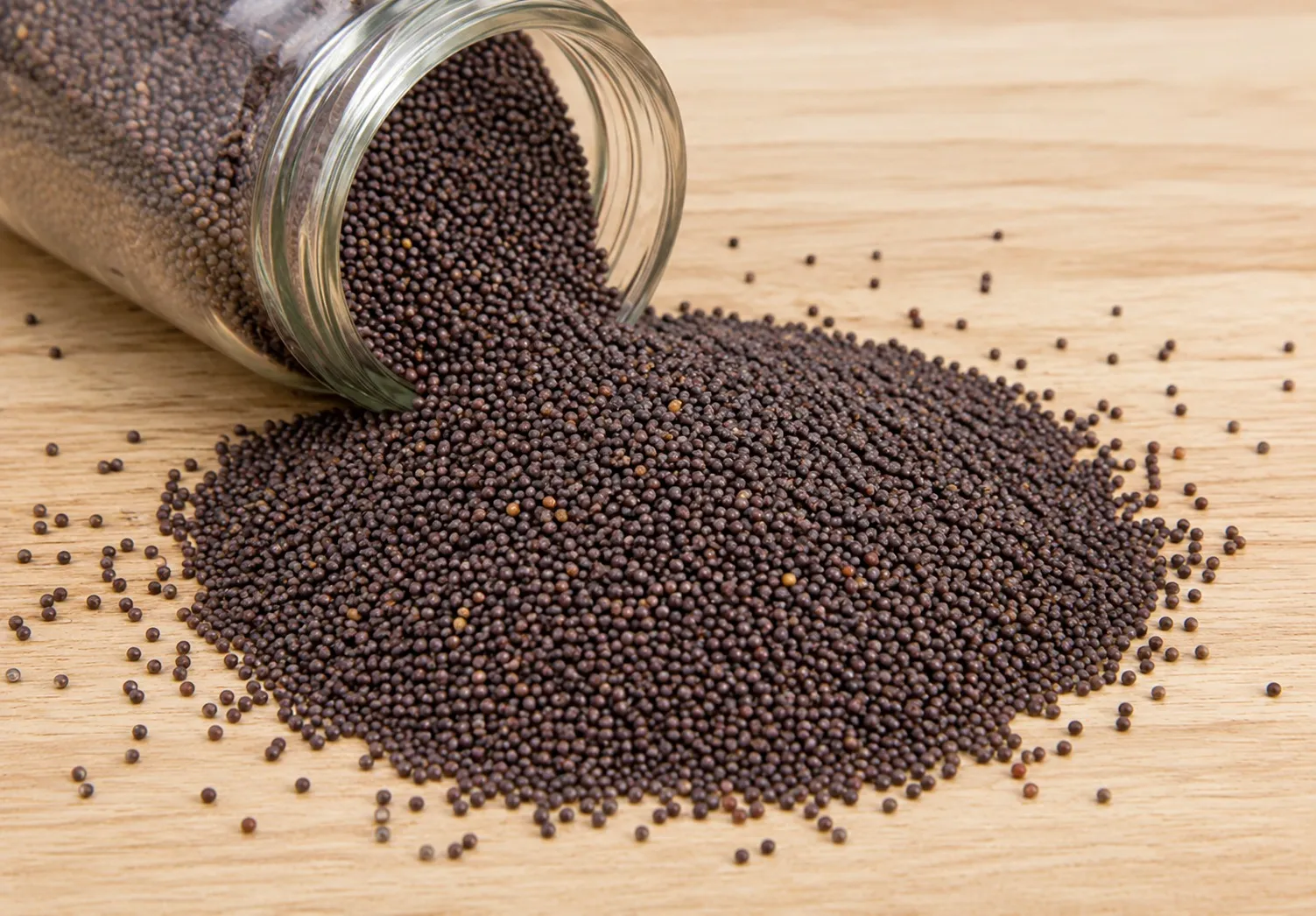 Mustard Seeds